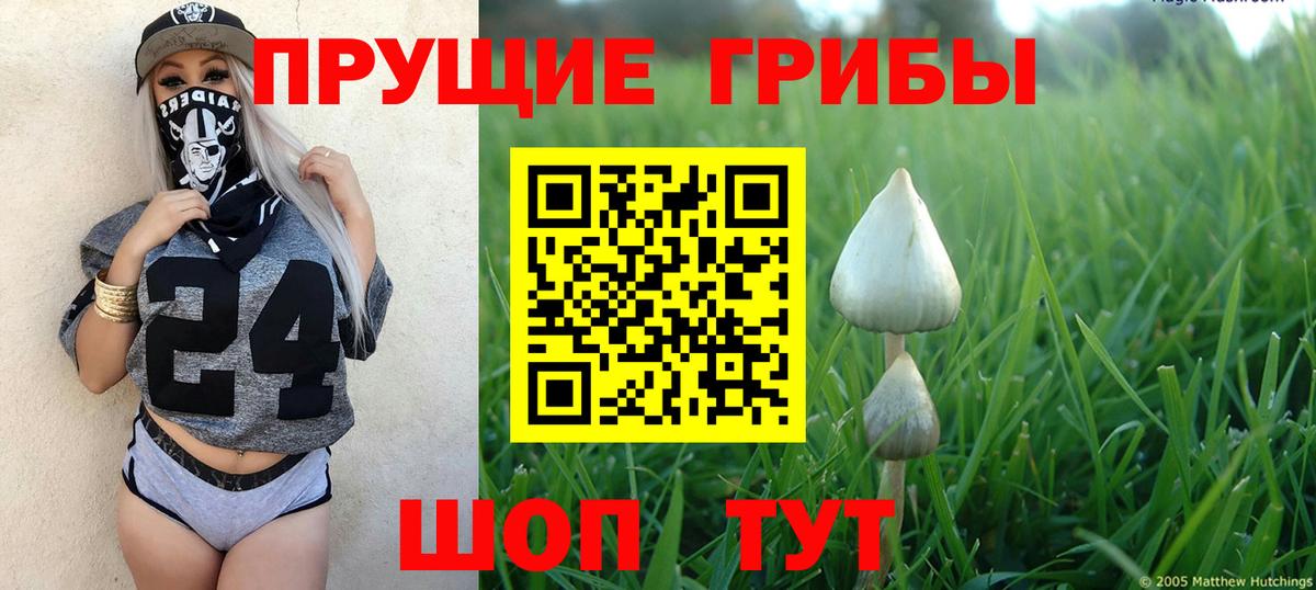 Галлюциногенные грибы Cubensis  Вход с VPN  Сарапул 